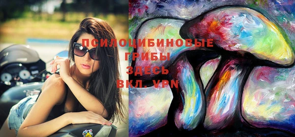 марихуана Абаза