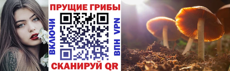 даркнет сайт  Карталы  Галлюциногенные грибы ЛСД 